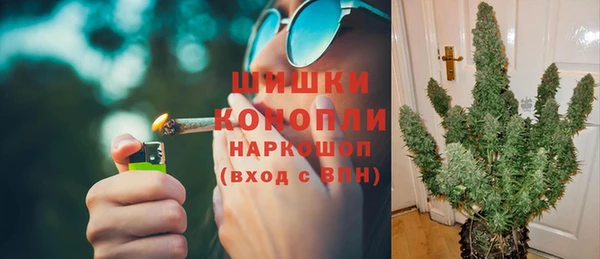 ПСИЛОЦИБИНОВЫЕ ГРИБЫ Дмитриев