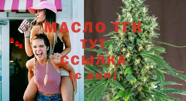 эйфоретик Ельня