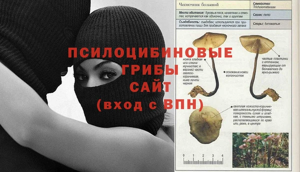 соль ск Елизово