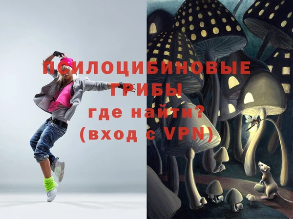 Альфа ПВП Дмитров