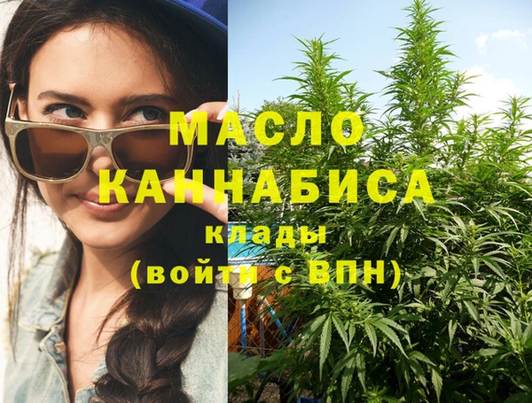 ПСИЛОЦИБИНОВЫЕ ГРИБЫ Дмитриев
