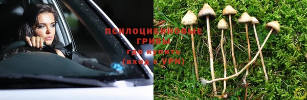 Альфа ПВП Дмитров