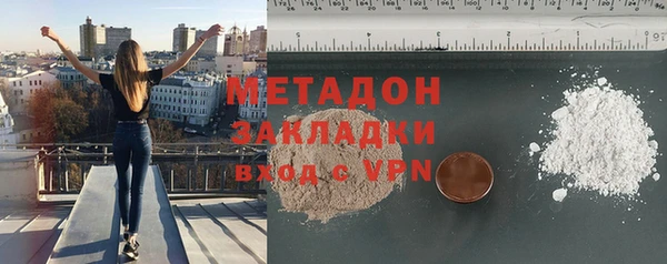 ПСИЛОЦИБИНОВЫЕ ГРИБЫ Дмитриев