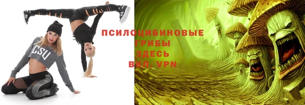 Альфа ПВП Дмитров