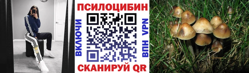 Псилоцибиновые грибы прущие грибы Сусуман